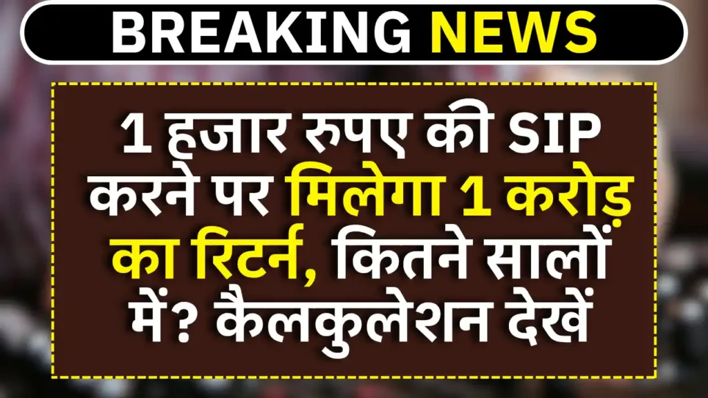 1000 SIP Investment calculation