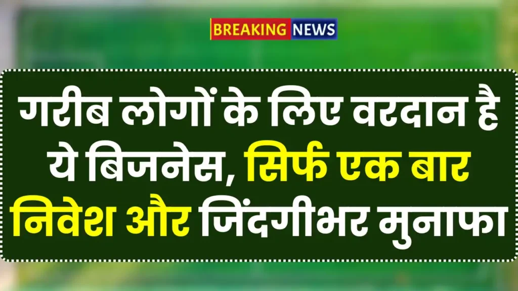 Dona Pattal Business 2026